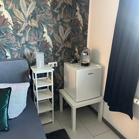 Haus Geiger Apartment